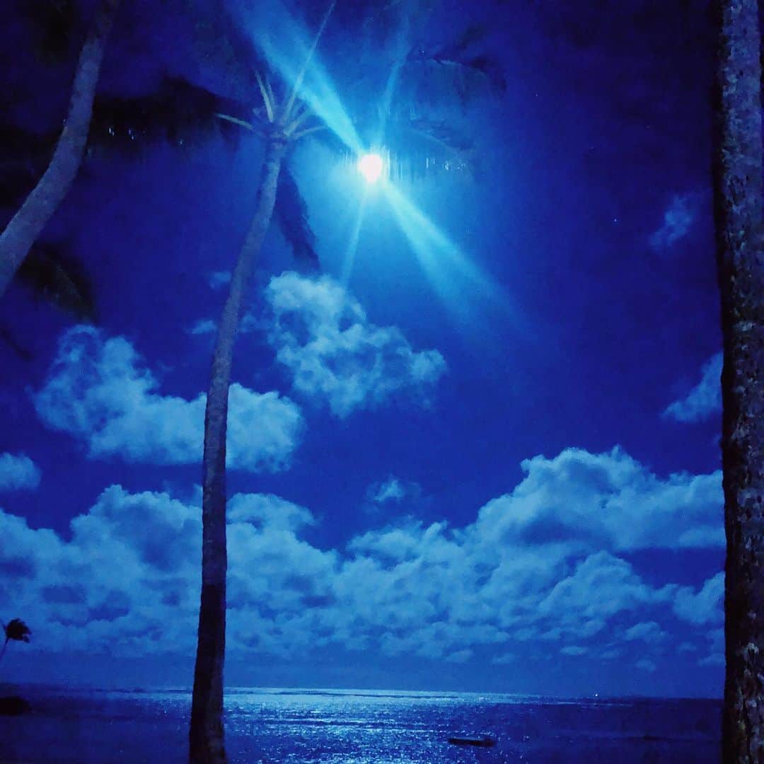 西山美希子さんのインスタグラム写真 - (西山美希子Instagram)「Thank you ❤️また来年！#hawaii #summerbreak」8月7日 22時17分 - mariaclove