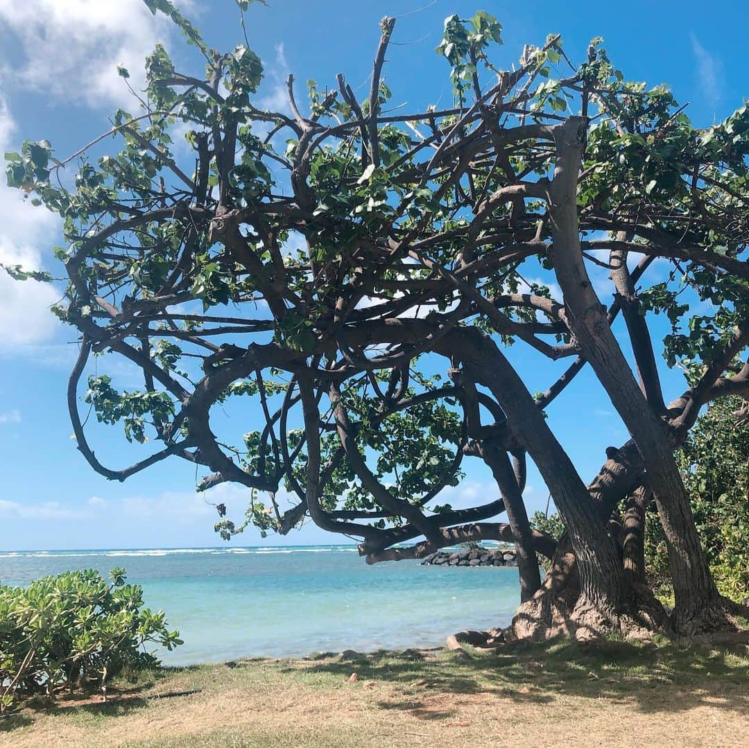 西山美希子さんのインスタグラム写真 - (西山美希子Instagram)「Thank you ❤️また来年！#hawaii #summerbreak」8月7日 22時17分 - mariaclove