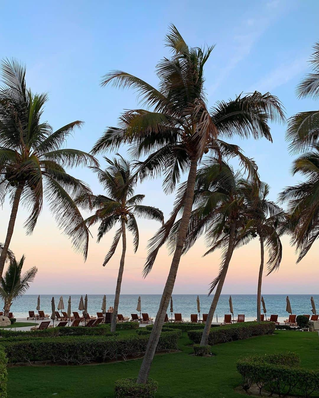 高木琢也さんのインスタグラム写真 - (高木琢也Instagram)「🌴🌈😳 #palmtrees  #空きゃわ」8月7日 22時18分 - takagi_ocean