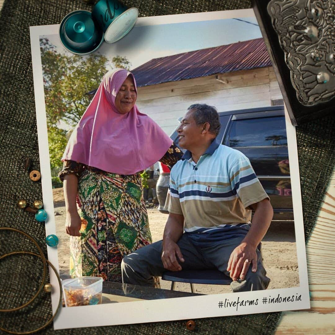 Nespressoさんのインスタグラム写真 - (NespressoInstagram)「Family farm! Pak Mahmudi likes to focus on his family, spending time with his wife Ibu Evawarni and his youngest, Nisla Ramadhana while Master Origin Indonesia coffee continues to grow in the fields. Always keep a good balance between job & family 🧘  #Nespresso #LiveFarms #Farmers #Indonesia #Coffee #TheChoicesWeMake #AAAprogram #Sustainability #MasterOrigin #MasterOriginIndonesia」8月7日 22時19分 - nespresso