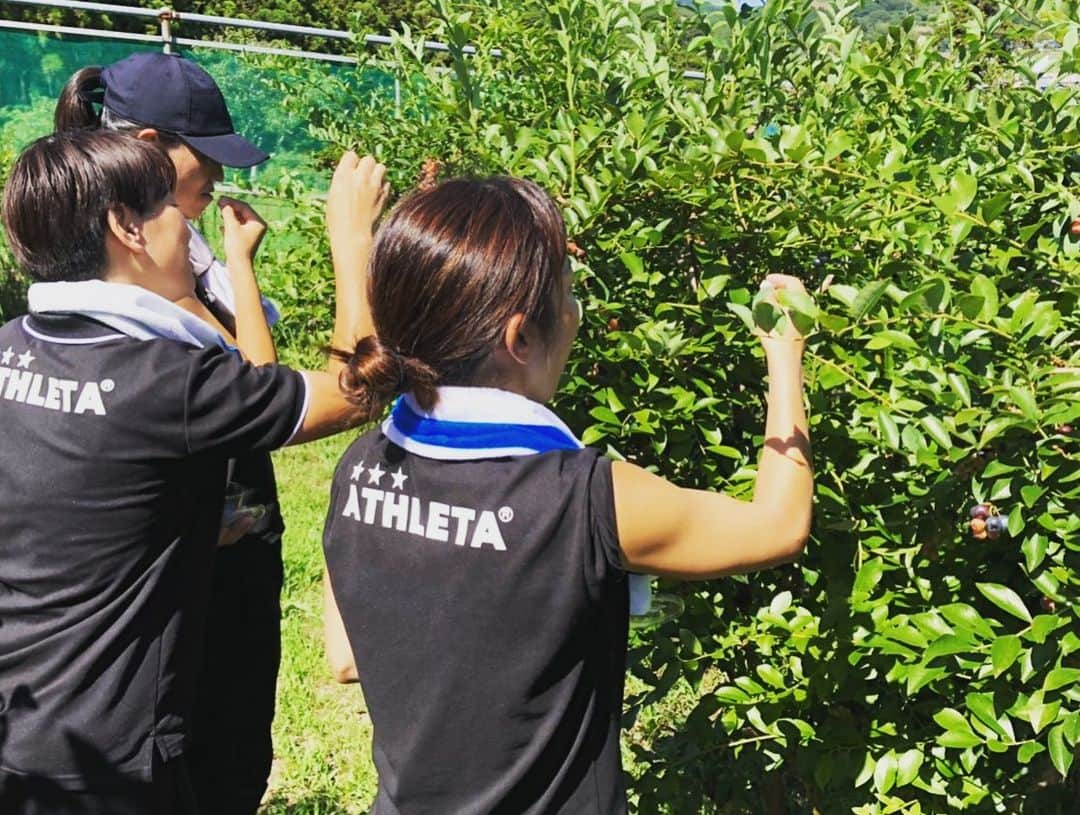 木原梢さんのインスタグラム写真 - (木原梢Instagram)「今日はU-18の活動で人生初のスカッシュ🏸 めっちゃ難しくて、1時間半じゃコツをつかめそうでつかめなかった〜😥 でもすごく楽しくて、またやりたい😁  その後、これも人生初のブルーベリー狩り🙆🏻‍♀️ いつも応援してくださっている池田ブルーベリー園さん、お土産までたくさんありがとうございました♡ お腹いっぱい幸せ☺️ #スカッシュ #めっちゃ難しくてめっちゃ楽しい #ブルーベリー狩り #9つの品種を食べ比べ #とにかく美味しい #人生初を1日に2つも体験 #色んなスポーツをやってみるのも大切だと思う」8月7日 22時26分 - kozu0917