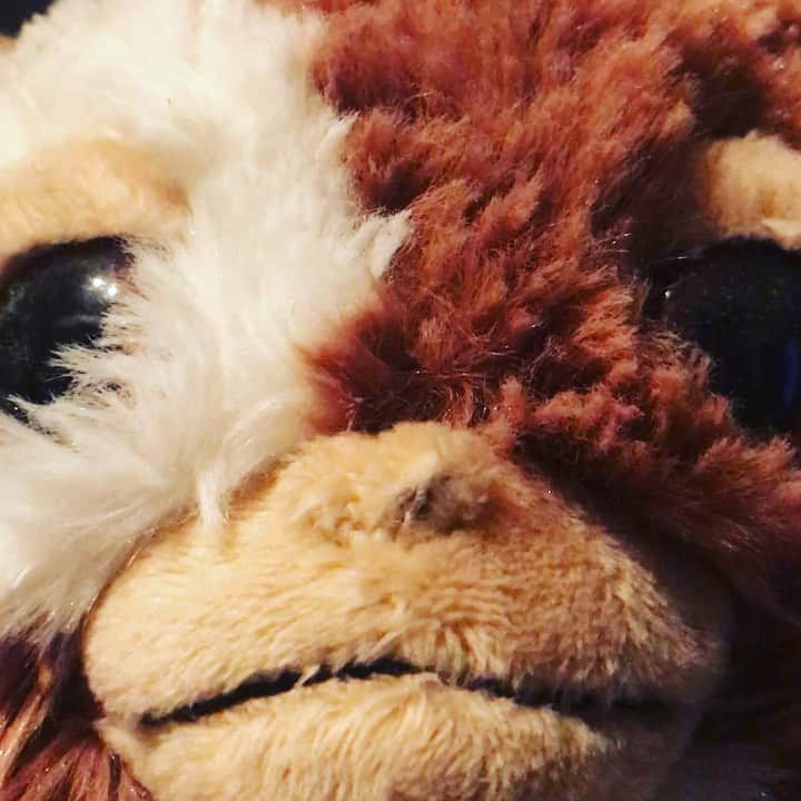 のインスタグラム：「暑い夜に冬の曲を  #snowflakes #辻村有記 #熱中症 #気をつけて」