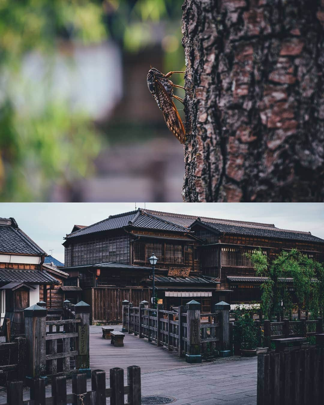 Takashi Yasuiさんのインスタグラム写真 - (Takashi YasuiInstagram)「千葉県 佐原の町並み」8月7日 22時43分 - _tuck4