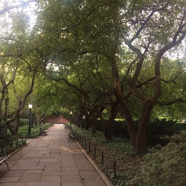 ラリー・ギリアード・Jrさんのインスタグラム写真 - (ラリー・ギリアード・JrInstagram)「The pleasures of living across the street from one of the best man made parks in the world! I ❤️ this park. Much to explore and sometimes you forget you’re in the middle of a city! CENTRAL PARK NYC! Picnic por uno! #centralpark #nyc #adventure #nature #turtles #tunasandwich #waterfall #2019」8月7日 22時56分 - thereallgjr