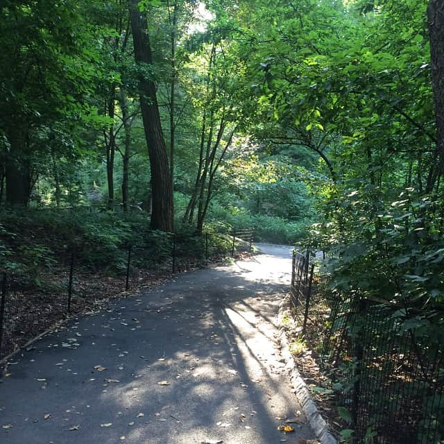 ラリー・ギリアード・Jrさんのインスタグラム写真 - (ラリー・ギリアード・JrInstagram)「The pleasures of living across the street from one of the best man made parks in the world! I ❤️ this park. Much to explore and sometimes you forget you’re in the middle of a city! CENTRAL PARK NYC! Picnic por uno! #centralpark #nyc #adventure #nature #turtles #tunasandwich #waterfall #2019」8月7日 22時56分 - thereallgjr