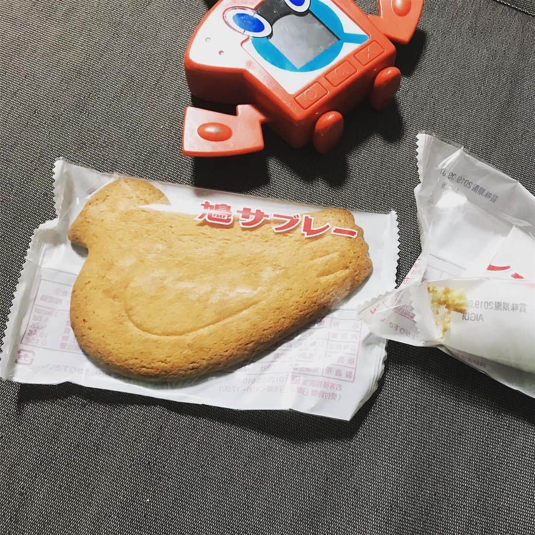 高橋文樹のインスタグラム：「僕は鳩サブレーが大変好きなのですが、アメリカ人かフライドポテトを野菜だと言うように、鳩サブレーは白米に認定して良いと思います。」