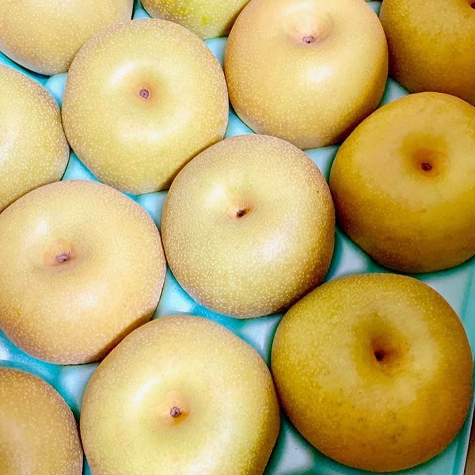 道の駅やちよのグルメインスタ