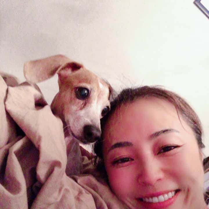 のインスタグラム：「うちのきなこがかわいすぎて。。。😍😍😍 #Kinako #mybaby  #いつもありがとう  #黒田愛美」