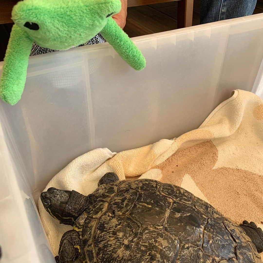 江口ともみのインスタグラム