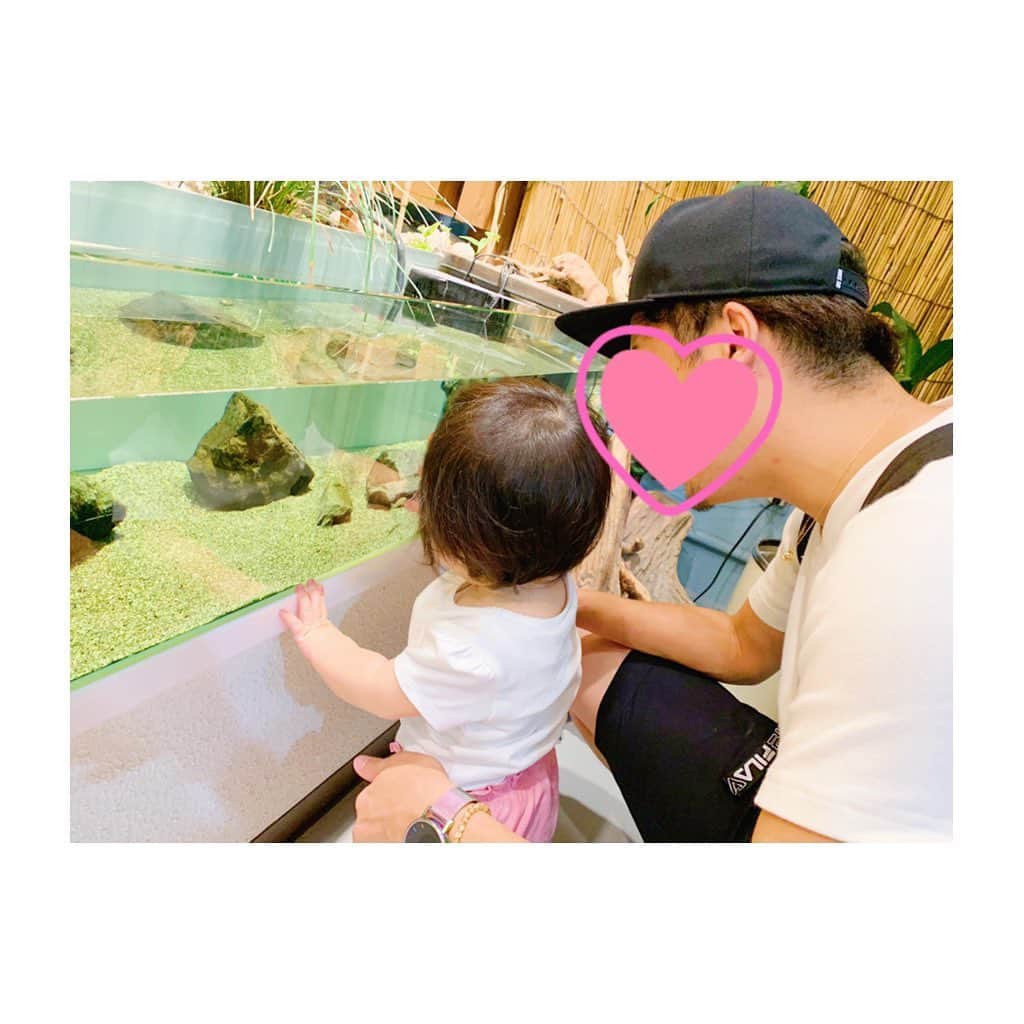 竹澤萌子さんのインスタグラム写真 - (竹澤萌子Instagram)「先月の伊勢旅行🚙💕💕 お盆は今年はどこにも行けなさそうだから、産前最後の遠出🤰🌟 まずは鳥羽水族館🌊🐠楽しかったよ〜！🐬💙💙💙 娘もちゃんとお魚見てくれてたし、旦那さんはセイウチにガラス越しに、ずっとベロベロチューされてたし😂👏💓 台風直撃の日だったけど、天気の回復も早くて助かりました🙆‍♀️❤️ #伊勢#旅行#伊勢旅行#鳥羽水族館#妊婦#マタニティ#赤ちゃん#女の子ベビー#娘#0歳#9ヶ月#新米ママ#年子ママ#baby#babygirl#maternity#instagood#instalike#aquarium#isejingu#summer#summervacation#travel#trip#family」8月7日 23時43分 - moeco_world