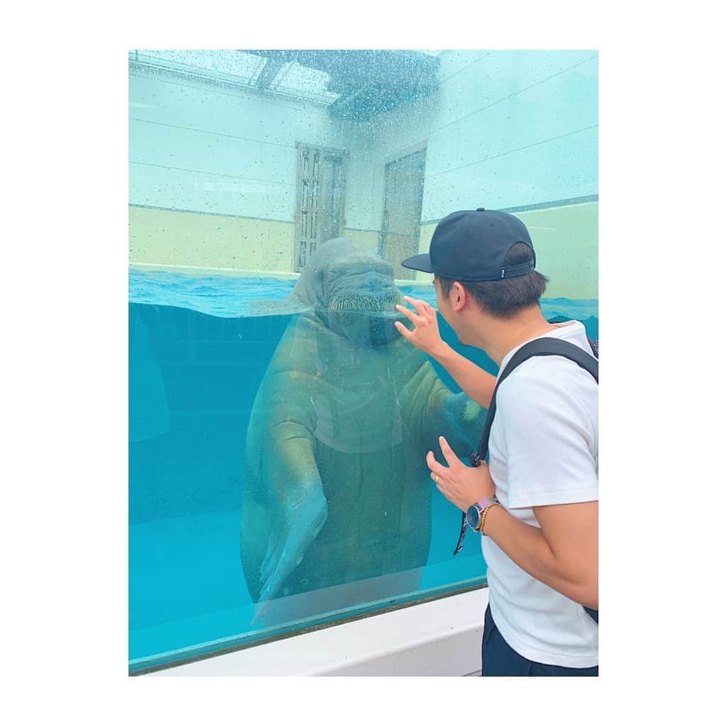 竹澤萌子さんのインスタグラム写真 - (竹澤萌子Instagram)「先月の伊勢旅行🚙💕💕 お盆は今年はどこにも行けなさそうだから、産前最後の遠出🤰🌟 まずは鳥羽水族館🌊🐠楽しかったよ〜！🐬💙💙💙 娘もちゃんとお魚見てくれてたし、旦那さんはセイウチにガラス越しに、ずっとベロベロチューされてたし😂👏💓 台風直撃の日だったけど、天気の回復も早くて助かりました🙆‍♀️❤️ #伊勢#旅行#伊勢旅行#鳥羽水族館#妊婦#マタニティ#赤ちゃん#女の子ベビー#娘#0歳#9ヶ月#新米ママ#年子ママ#baby#babygirl#maternity#instagood#instalike#aquarium#isejingu#summer#summervacation#travel#trip#family」8月7日 23時43分 - moeco_world