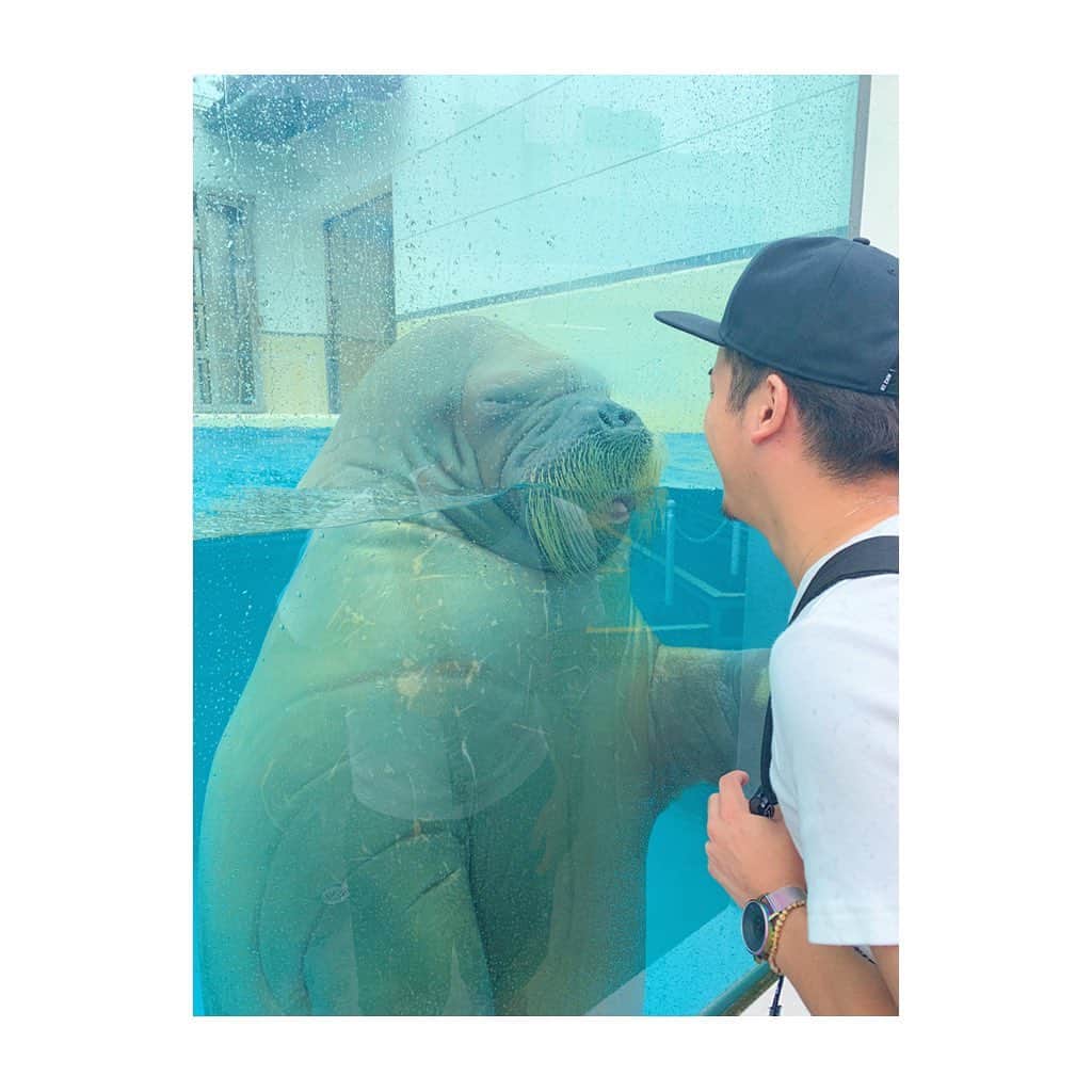 竹澤萌子さんのインスタグラム写真 - (竹澤萌子Instagram)「先月の伊勢旅行🚙💕💕 お盆は今年はどこにも行けなさそうだから、産前最後の遠出🤰🌟 まずは鳥羽水族館🌊🐠楽しかったよ〜！🐬💙💙💙 娘もちゃんとお魚見てくれてたし、旦那さんはセイウチにガラス越しに、ずっとベロベロチューされてたし😂👏💓 台風直撃の日だったけど、天気の回復も早くて助かりました🙆‍♀️❤️ #伊勢#旅行#伊勢旅行#鳥羽水族館#妊婦#マタニティ#赤ちゃん#女の子ベビー#娘#0歳#9ヶ月#新米ママ#年子ママ#baby#babygirl#maternity#instagood#instalike#aquarium#isejingu#summer#summervacation#travel#trip#family」8月7日 23時43分 - moeco_world