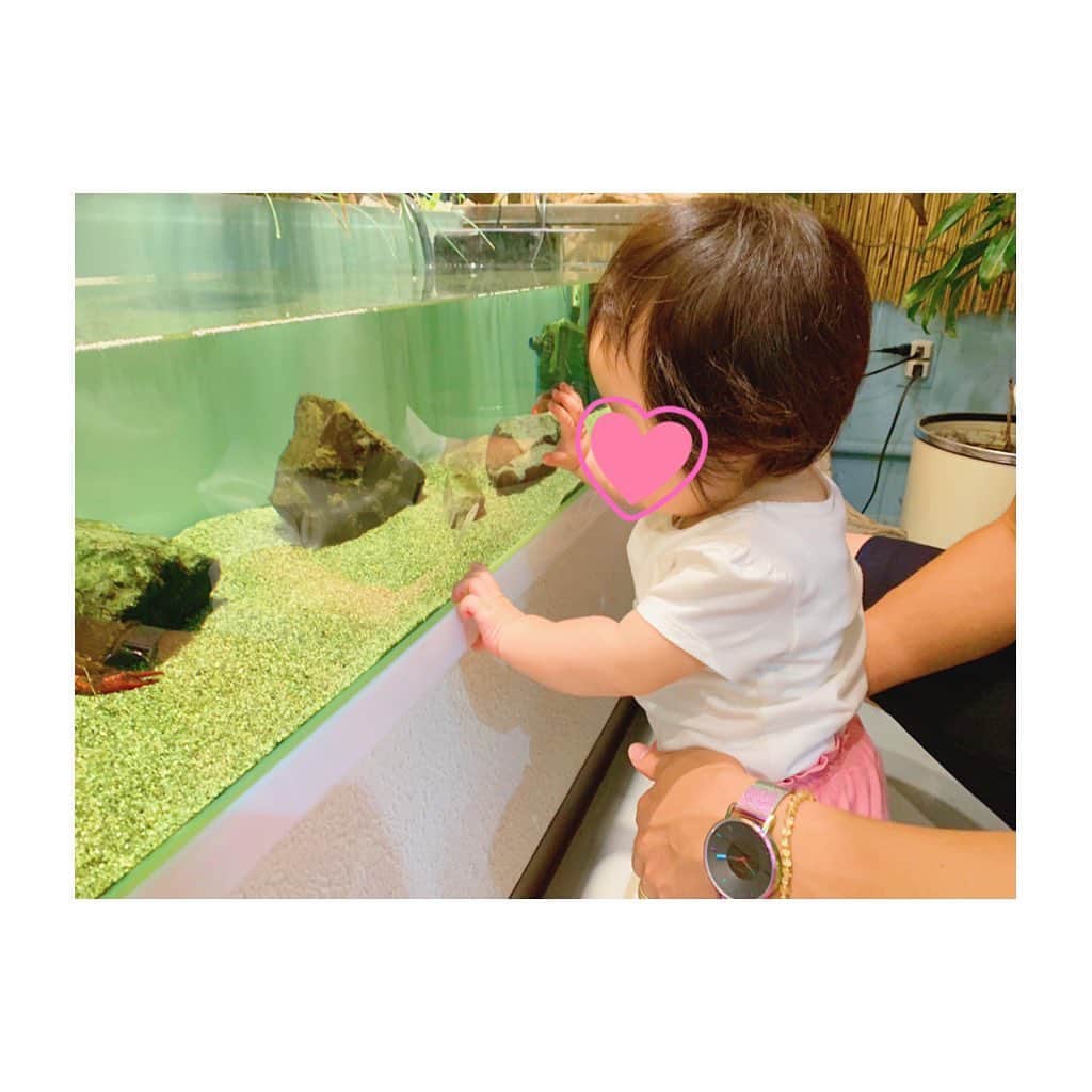竹澤萌子さんのインスタグラム写真 - (竹澤萌子Instagram)「先月の伊勢旅行🚙💕💕 お盆は今年はどこにも行けなさそうだから、産前最後の遠出🤰🌟 まずは鳥羽水族館🌊🐠楽しかったよ〜！🐬💙💙💙 娘もちゃんとお魚見てくれてたし、旦那さんはセイウチにガラス越しに、ずっとベロベロチューされてたし😂👏💓 台風直撃の日だったけど、天気の回復も早くて助かりました🙆‍♀️❤️ #伊勢#旅行#伊勢旅行#鳥羽水族館#妊婦#マタニティ#赤ちゃん#女の子ベビー#娘#0歳#9ヶ月#新米ママ#年子ママ#baby#babygirl#maternity#instagood#instalike#aquarium#isejingu#summer#summervacation#travel#trip#family」8月7日 23時43分 - moeco_world