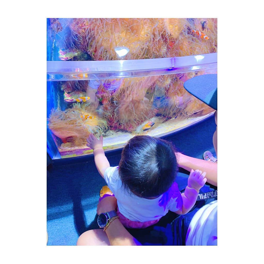 竹澤萌子さんのインスタグラム写真 - (竹澤萌子Instagram)「先月の伊勢旅行🚙💕💕 お盆は今年はどこにも行けなさそうだから、産前最後の遠出🤰🌟 まずは鳥羽水族館🌊🐠楽しかったよ〜！🐬💙💙💙 娘もちゃんとお魚見てくれてたし、旦那さんはセイウチにガラス越しに、ずっとベロベロチューされてたし😂👏💓 台風直撃の日だったけど、天気の回復も早くて助かりました🙆‍♀️❤️ #伊勢#旅行#伊勢旅行#鳥羽水族館#妊婦#マタニティ#赤ちゃん#女の子ベビー#娘#0歳#9ヶ月#新米ママ#年子ママ#baby#babygirl#maternity#instagood#instalike#aquarium#isejingu#summer#summervacation#travel#trip#family」8月7日 23時43分 - moeco_world
