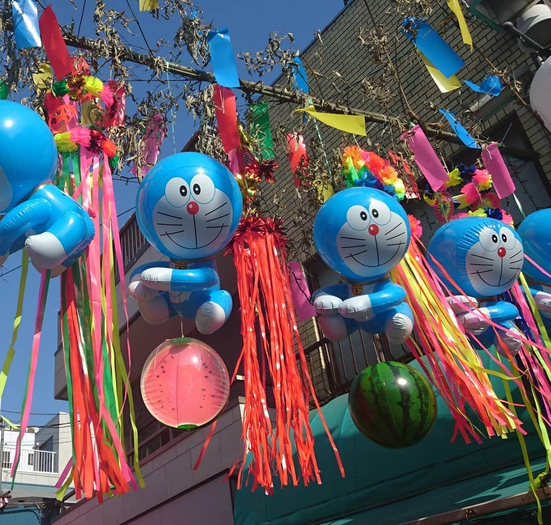 七海ひろこさんのインスタグラム写真 - (七海ひろこInstagram)「夏だ、祭りだ、砂町銀座だ！  おもてなつこさんとご支援者の皆さまとお伺いした砂町銀座の七夕祭り🎋 たくさんの温かい出会いに感謝です。  #砂町銀座 #砂町銀座商店街 #砂町銀座七夕祭り #江東区 #おもてなつこ」8月7日 23時54分 - nanamihiroko_