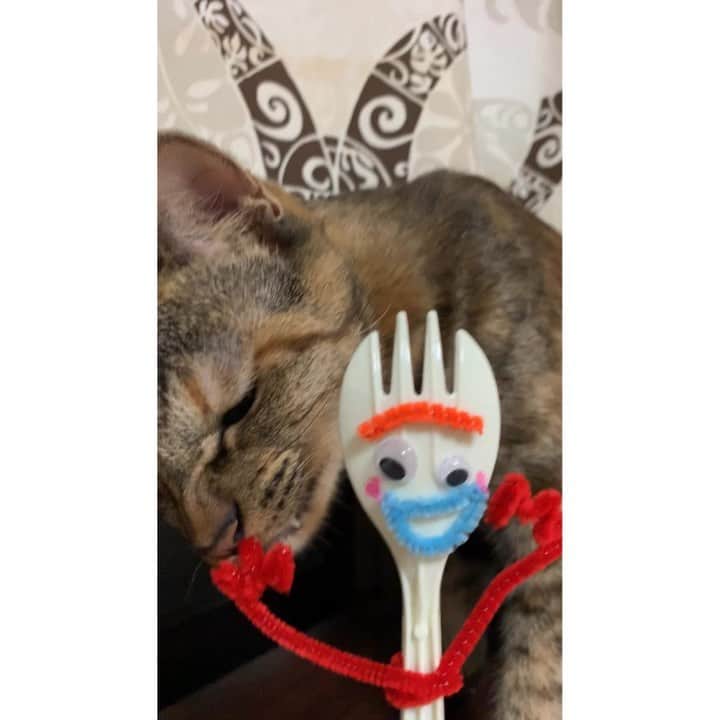 南口奈々のインスタグラム：「. ニャンらこれ。by.茶こ #トイストーリー #トイストーリー4 #フォーキー #フォーキー作ってみた #茶こ #元野良猫 #元保護猫 #さくらにゃんこ#ミルスタ #instacat #ネコスタグラム #猫 #ネコ #にゃんこ #cat  #ふわもこ部 #ペコねこ部」