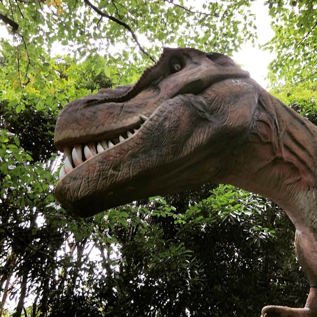 藤重政孝のグルメインスタ