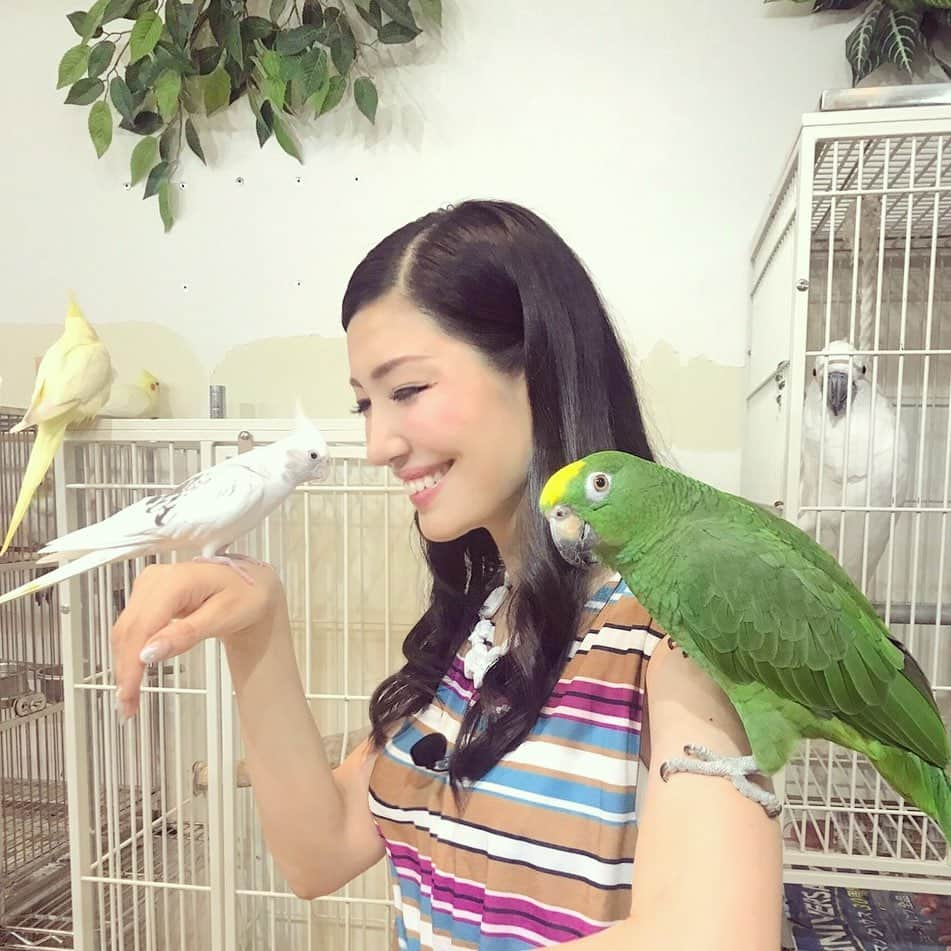 アンミカさんのインスタグラム写真 - (アンミカInstagram)「とーーーーっても可愛い💕バードカフェへ🕊💕 旦那様と20年近く居たうちの子達が🐦🐤、天国に住まいを移して、2年か経とうとしています。。。 【Miller家の家族はあの子達だけ。。】と言う旦那様。新しくお迎えは出来ないけど、遊ぶことはできるから、また旦那様と訪れたい🕊💕 。 #鳥は感情豊かでとても頭が良い🕊 #遊び好きで愛情豊かで信頼が強い🕊 #2枚目の子はお腹を見せて丸くなるのが好きな可愛い子🐤 #アッシジの聖フランシスコ様のような旦那様は動物と話せる。 #緑の子のカメラ目線が決まってます📸 #birdlove」8月8日 1時22分 - ahnmikaofficial