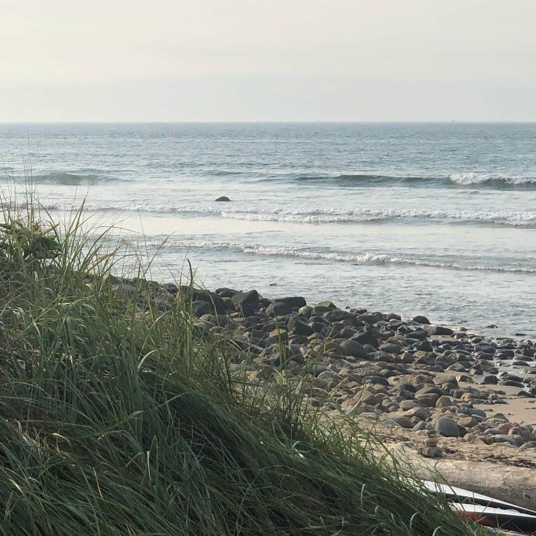 クラーク・グレッグのインスタグラム：「#montauk」