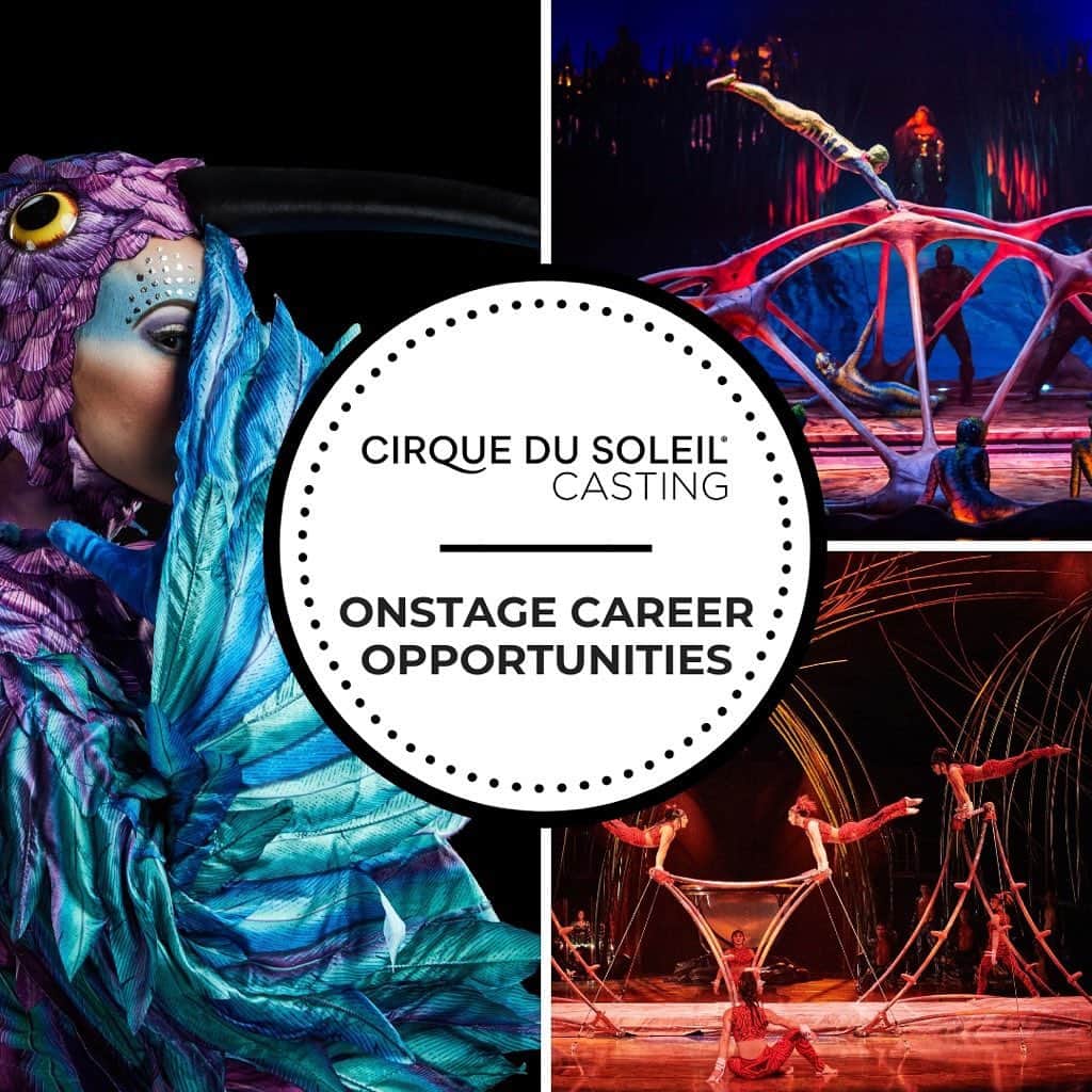 Inside Gymnasticsさんのインスタグラム写真 - (Inside GymnasticsInstagram)「#ad The Casting Team at Cirque du Soleil is recruiting Gymnasts for immediate needs and future opportunities on stage! For more info about the career opportunities and how to apply: https://cirk.me/31mIxpu  @cirquedusoleilcasting  @cirquedusoleil  #USGymChamps #partnerpost #sponsored #insidegym」8月8日 1時56分 - insidegym