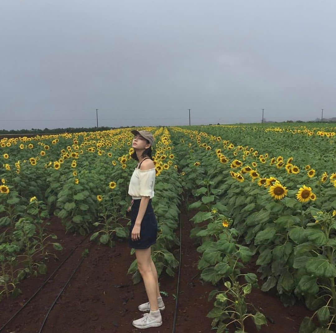 ローレン・サイさんのインスタグラム写真 - (ローレン・サイInstagram)「home maybe」8月8日 13時48分 - laurentsai