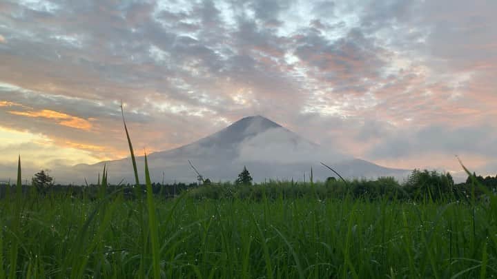 phantastic420のインスタグラム：「. 🤩🤩“Shizuoka” prefecture in Japan is a place where you can see the most “phantastic” Mt. Fuji🗻 in the world.🤩 #富士山 #mtfuji #japan #shizuoka #fujinomiya  #phantastic420photography #mostphantasticmtfuji #selamatpagi  #goodmorning  #おはようございます 😇😇😇😇😇😇😇🗻😇😇 あぁ〜あぁ〜〜〜…30分早く起きてれば凄いことになってたのになぁ〜…🤣」