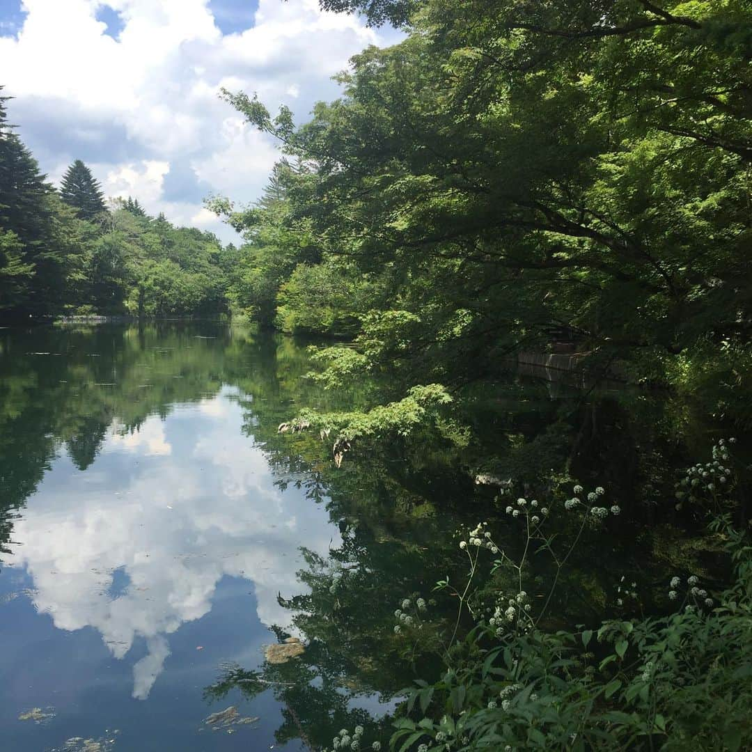 氏家恵さんのインスタグラム写真 - (氏家恵Instagram)「軽井沢日帰り旅。 帰って来たら浅間山が噴火🌋！！ びっくり。 穏やかそうに見えたのに…  旅の覚書  #見晴亭 #力餅 (辛味大根とくるみ。美味！すぎる！) ↓ #熊野皇大神社  #熊野神社 (同じ境内の右が群馬県の熊野神社。左が長野県の熊野皇大神社。写真は長野側のご神木。幹にハート形の穴がある) ↓ #浅間山 (まさか噴火するとは) ↓ #雲場池 ↓ #旧三笠ホテル(とっても素敵。別picで写真あげます)  続きます。」8月8日 13時19分 - ujiiemegumi