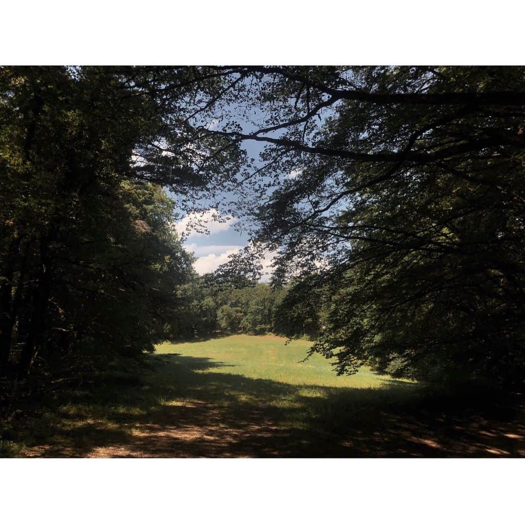 クリスティナ・バザンのインスタグラム：「Straight out of a painting 💫」