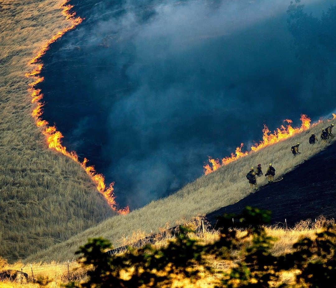 NBC Newsさんのインスタグラム写真 - (NBC NewsInstagram)「Firefighters battled the #MarshFire near the town of #Brentwood, #California, over the weekend. . 📷 @noah3929 / @apnews」8月8日 5時42分 - nbcnews