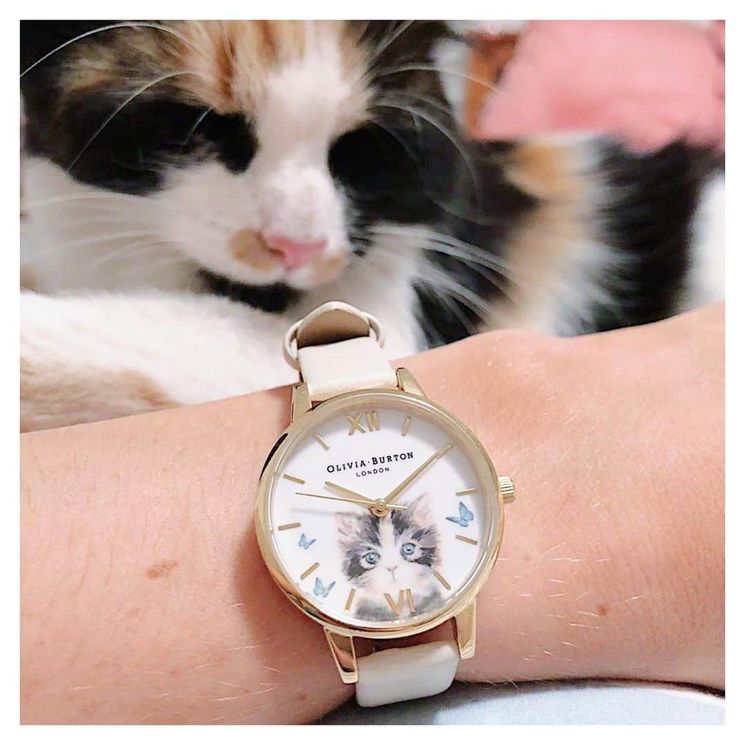 Olivia Burtonさんのインスタグラム写真 - (Olivia BurtonInstagram)「Calling all cat lovers! We’ve got some ‘paw-some’ picks for #InternationalCatDay 🐱💖 #MyOliviaBurton #CatWatch #CatsofInstagram」8月8日 6時09分 - oliviaburtonlondon