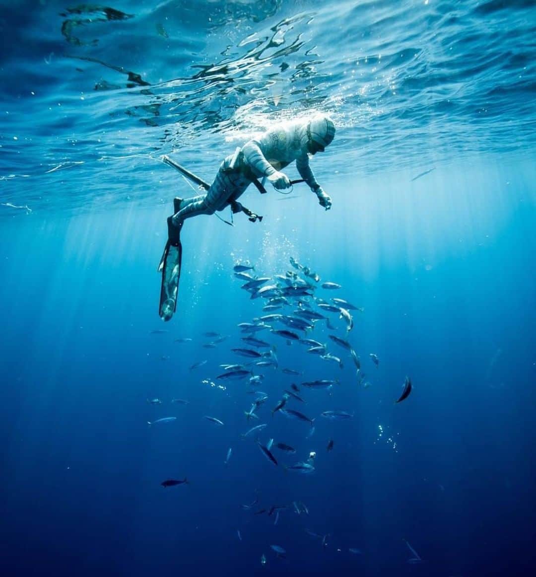 Costa Sunglassesのインスタグラム：「Ringing the dinner bell. 📷: @healeywaterops @perrinjames1 #SeeWhatsOutThere」