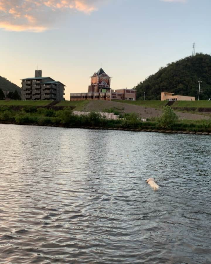 P太郎ママのインスタグラム