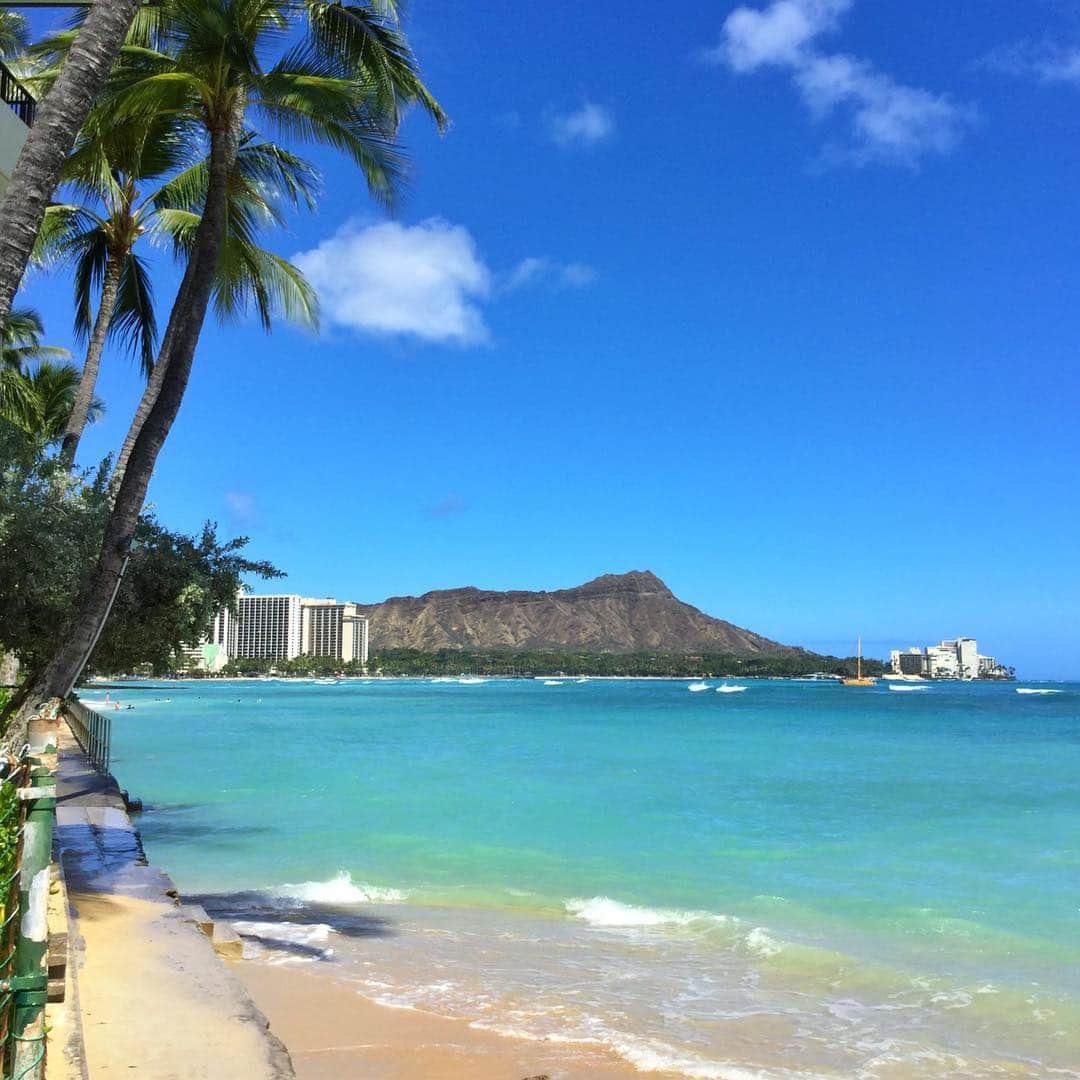 Belle Vie Hawaiiさんのインスタグラム写真 - (Belle Vie HawaiiInstagram)「ワイキキは﻿ ここのところとっても蒸し暑い日が続いていて﻿ すぐにでも海に飛び込みたくなります😆﻿ ﻿ ﻿ ﻿ ﻿ ﻿ ﻿ ﻿ ﻿ #belleviehawaii #hawaii﻿ #waikiki #waikikibeach﻿ #aloha #honolulu﻿ #diamondhead #beach﻿ #oahuhawaii #oahulife﻿ #hawaiilife #honoluluhawaii﻿ #ハワイ #ベルヴィー﻿ #ハワイ旅行 #ハワイ好き﻿ #ハワイ大好き #アロハ﻿ #夏休み #ビーチ﻿ #ハワイ土産 #ハワイ行きたい﻿ #ワイキキ #ワイキキビーチ﻿ #ホノルル #ハワイ生活﻿ #ハワイ好きな人と繋がりたい」8月8日 7時22分 - belleviehawaii