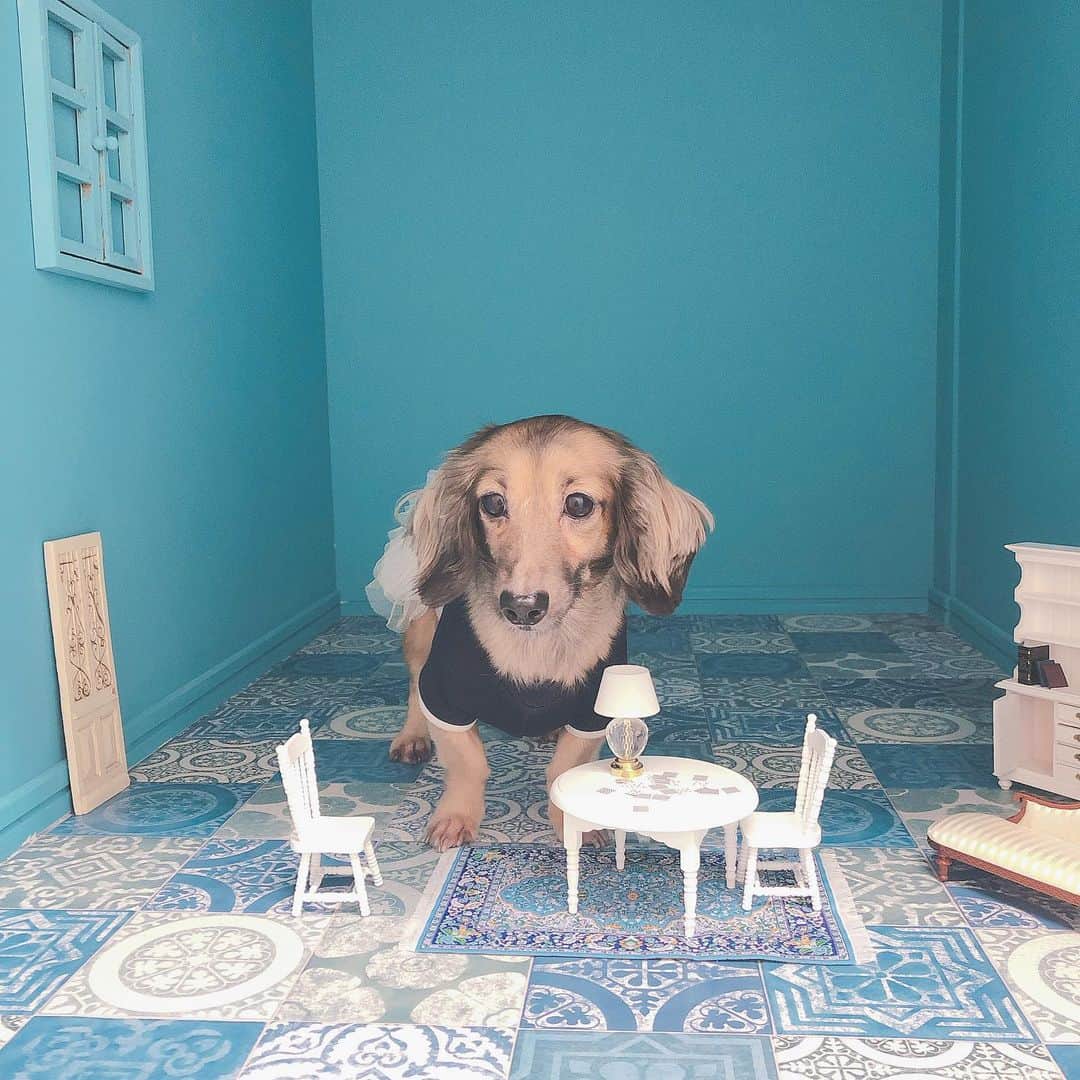 藤川沙弥のグルメインスタ