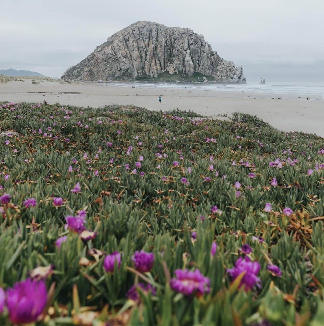 Visit The USAさんのインスタグラム写真 - (Visit The USAInstagram)「Looking to plan an epic road trip before the summer ends? Home to the iconic Morro Rock, this seaside destination in Morro Bay California serves as a scenic backdrop for all sorts of fun outdoor activities, including boating, kayaking and surfing. 🏄‍🚣 #VisitTheUSA Follow #UnitedStories as we spend the year collecting unique stories from across the country with our mobile content creation labs.」8月8日 7時45分 - visittheusa