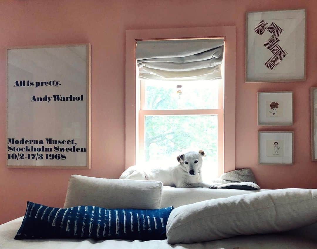 Grace Bonneyのインスタグラム：「She knows how to find her light. And her perch. 💅🏽」