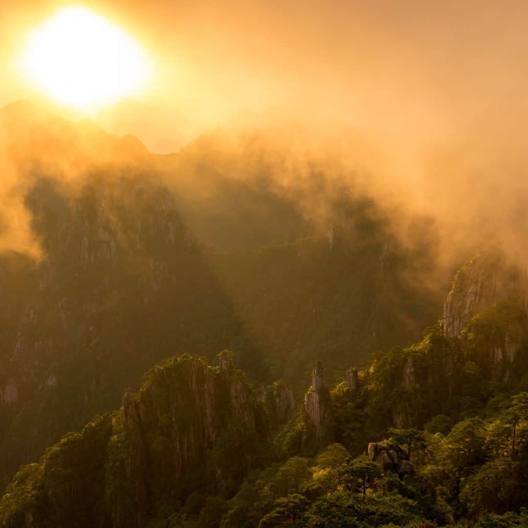 Michael Yamashitaさんのインスタグラム写真 - (Michael YamashitaInstagram)「Fog and mist, hide and reveal in Huangshan, Yellow Mountain National Park. This is one of those places where I need rain to raise humidity, wind to move the clouds and fog, and sun to provide color and drama.  #Huangshan #HuangshanMountain #Anhui #unescoworldheritage」8月8日 8時00分 - yamashitaphoto