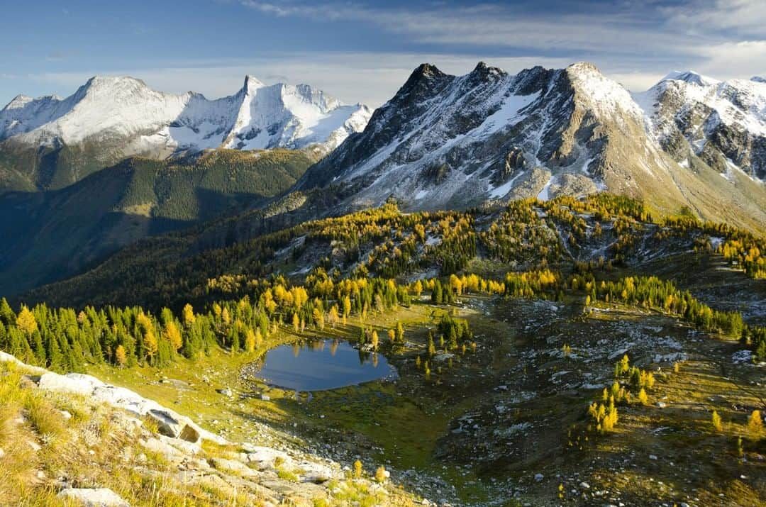 patagoniaさんのインスタグラム写真 - (patagoniaInstagram)「After decades of fighting, Jumbo Valley will stay wild! On Monday, the B.C. Court of Appeal decided that Jumbo Glacier Resort’s environmental certificate is no longer valid. The proposed Jumbo Valley resort—within the Purcell Mountains, the sacred area of Qat’muk to the Ktunaxa Nation and an important wildlife corridor for grizzly bears—can not be built until re-assessed. Check out the press release by @wildinsight through the link in bio.⁠ Photo: @soglephoto⁠」8月8日 8時40分 - patagonia