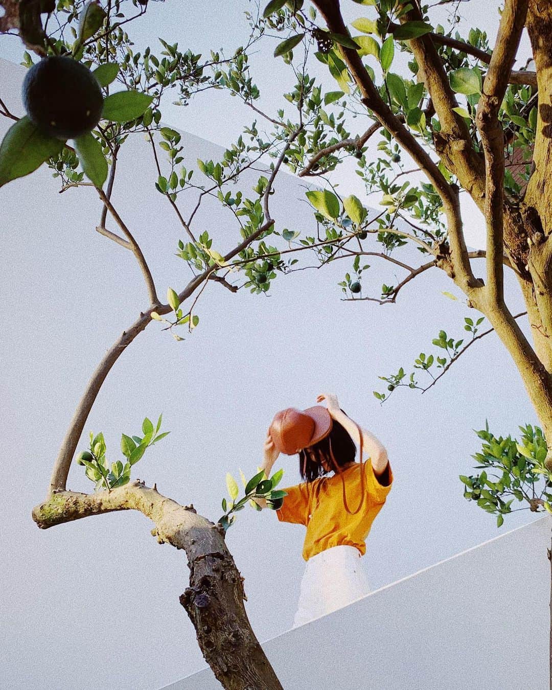 リウ・ウェンのインスタグラム：「🌿🌿🌿」