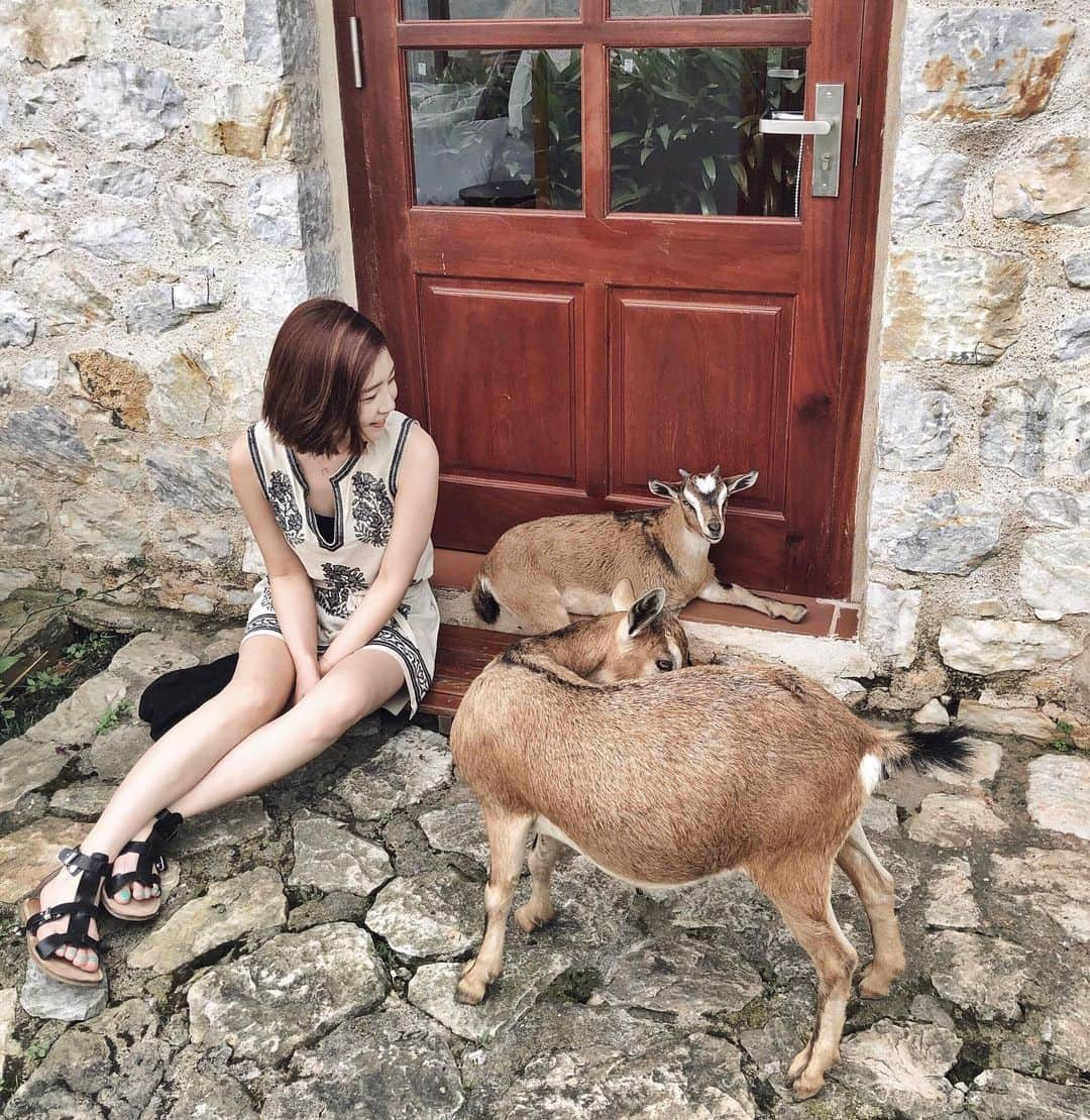 シン・ダウンさんのインスタグラム写真 - (シン・ダウンInstagram)「. 즐거웠던 어떤 날🐏을 생각하며 전 오늘도 무더위를 이기러 🤾‍♀️나갑니다 . 야외에서 활동하기는 분들 힘내세요 💪 . . #여름스타그램 🏜」8月8日 9時58分 - shindandan_