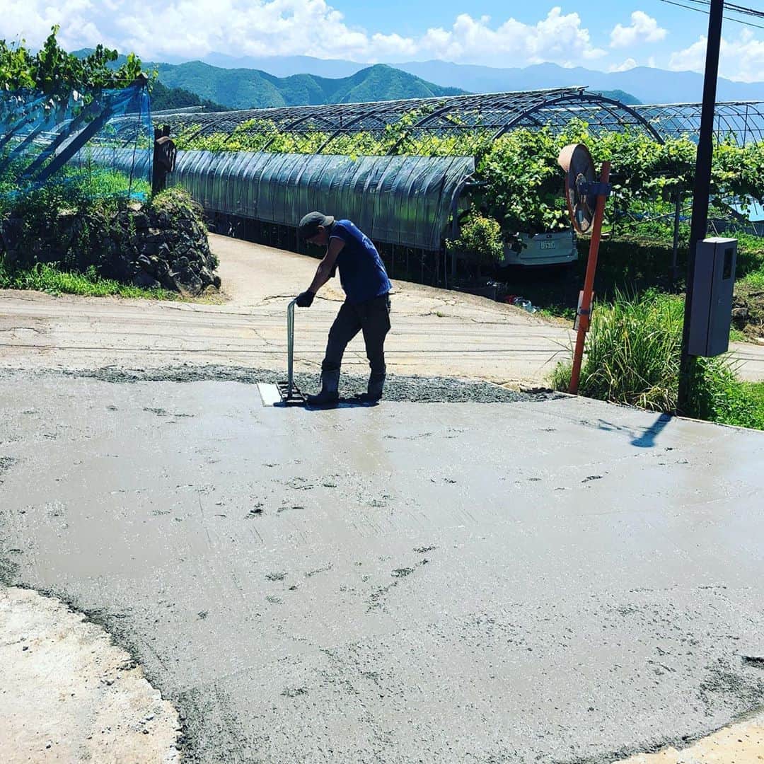 ツチと実のインスタグラム：「こんにちは！ ツチと実でございます！  暑い日が続きます💦 強すぎる日差しが肌に刺さりますね💦  そんな中でも、スタッフみんなでツチと実をパワーアップするため、駐車場入口のコンクリート打ちをしました。  ぶどう農家なのにコンクリート？と思うかもしれませんが、お客様気持ちよく過ごしてもらうためにはスタッフは何でもやりますよ\(^^)💦 飲食業、土木建設業、そして農業と色々な事をやると仕事の幅が広がります！ そして、新しい事が出来る様になります。  9月までもう少し、 ぶどう狩りやぶどうの注文も絶賛受付中で す。🍇も大きくなりすぎて袋からはみ出しました！  是非是非、お待ちしております！  #ぶどう狩り #ツチと実 #ぶどう栽培 #巨峰 #山梨 #勝沼 #予約受付中 #コンクリート #土木 #百姓」
