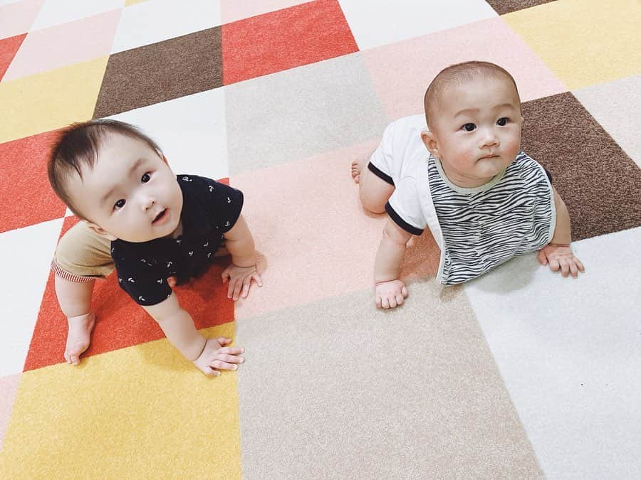 薗田杏奈さんのインスタグラム写真 - (薗田杏奈Instagram)「TORA & HIRO 👶🏼👶🏼お久しぶりなHIROくん♡既にイケメン確定な美しいお顔立ちなボーイくん🤤💜 TORAは絶賛昭和感満載ボーイ💛🧡w #オラTORAだよ#同い年だよ#1ヶ月違いなんだぜ#たくさん遊ぼうね ⠀ #Baby#mylove#TORAくん #赤ちゃん#男の子 #生後7ヶ月 #成長記録#育児記録」8月8日 10時10分 - love.byanna