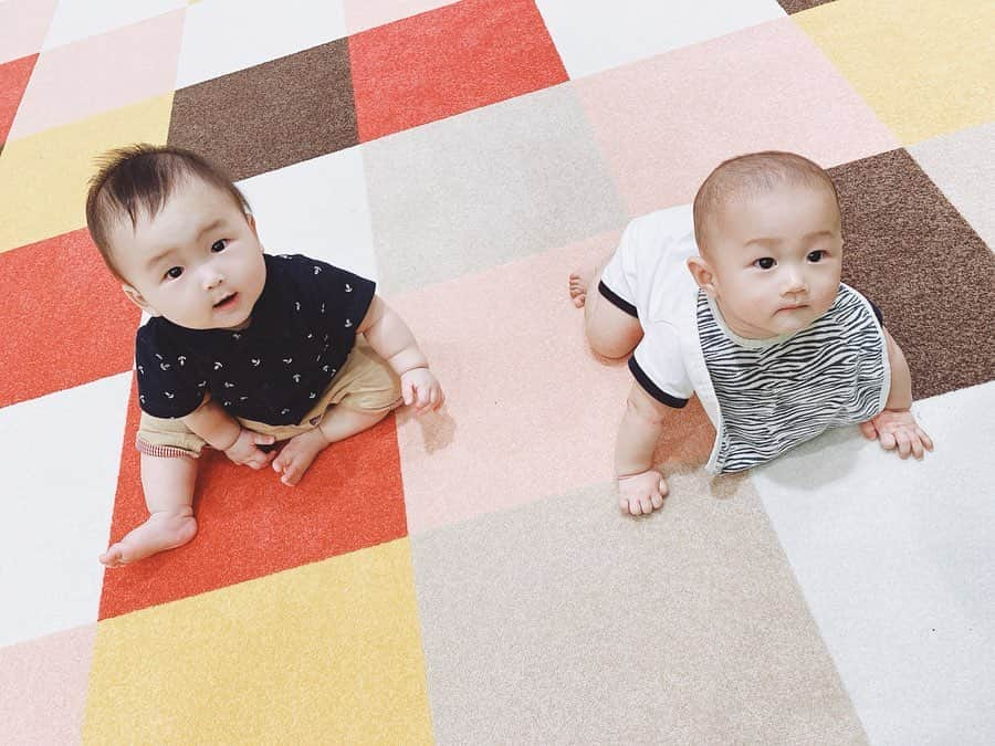 薗田杏奈さんのインスタグラム写真 - (薗田杏奈Instagram)「TORA & HIRO 👶🏼👶🏼お久しぶりなHIROくん♡既にイケメン確定な美しいお顔立ちなボーイくん🤤💜 TORAは絶賛昭和感満載ボーイ💛🧡w #オラTORAだよ#同い年だよ#1ヶ月違いなんだぜ#たくさん遊ぼうね ⠀ #Baby#mylove#TORAくん #赤ちゃん#男の子 #生後7ヶ月 #成長記録#育児記録」8月8日 10時10分 - love.byanna