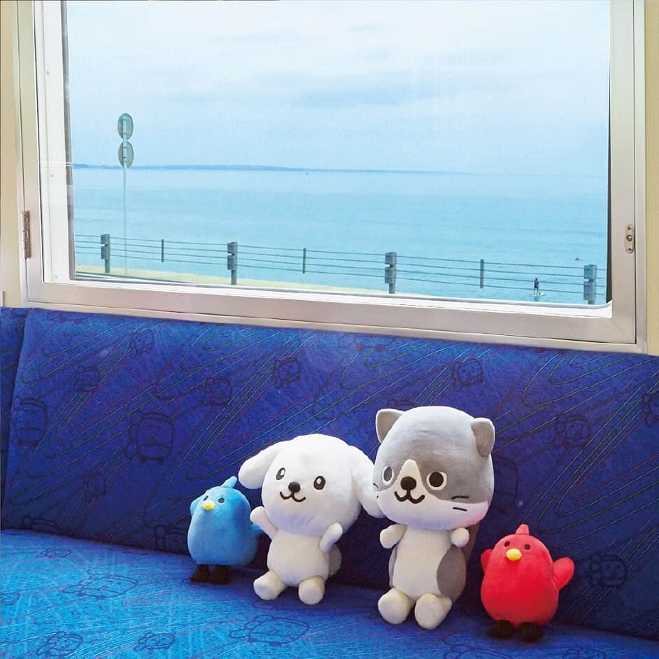 ダスキン ダス犬【公式】さんのインスタグラム写真 - (ダスキン ダス犬【公式】Instagram)「海って大きいね… #どこまでも広がる海 #青くてきれい　#最高の景色」8月8日 10時40分 - dusken_official