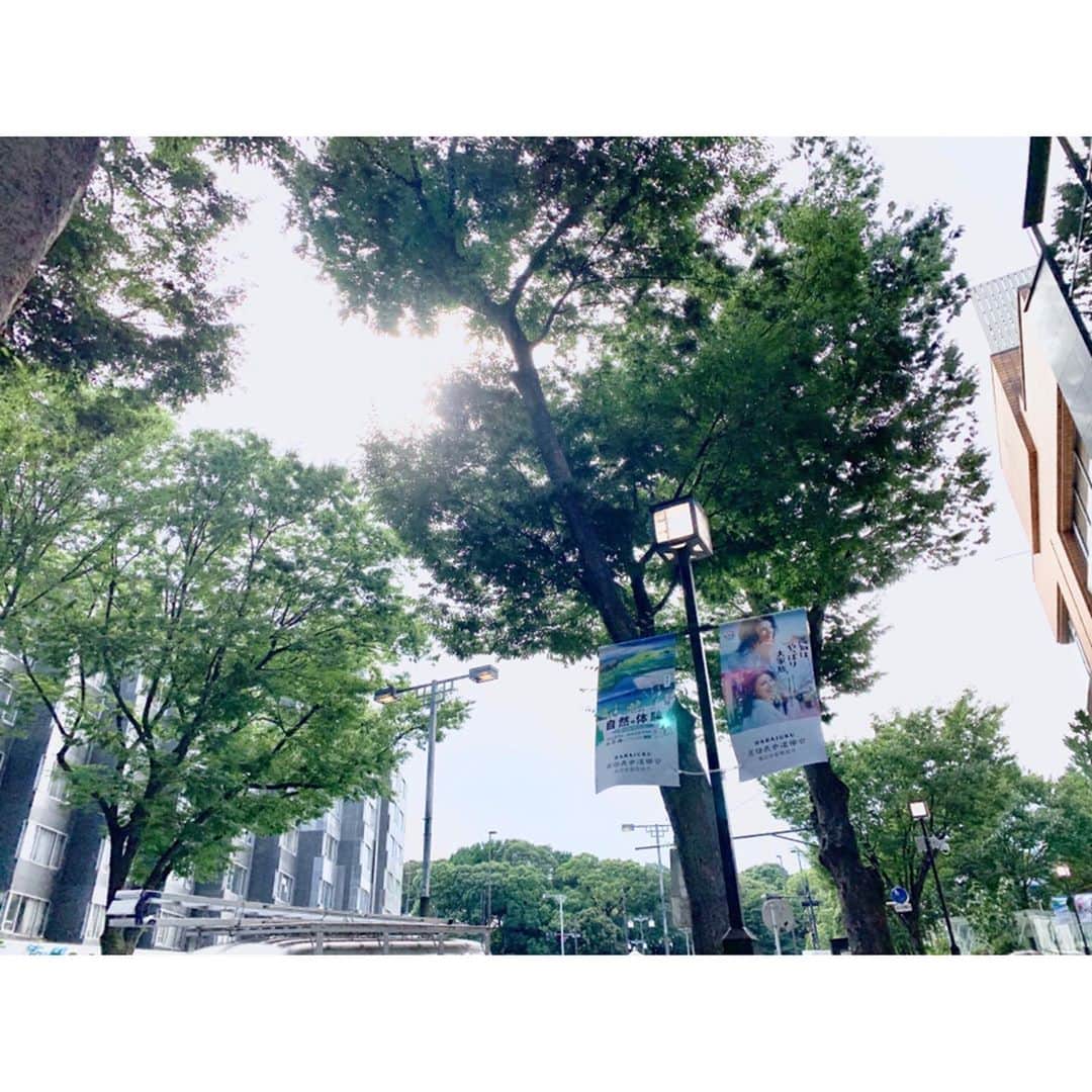 山下耀子さんのインスタグラム写真 - (山下耀子Instagram)「. . 夏を堪能しに …！」8月8日 10時44分 - twinkleyesy