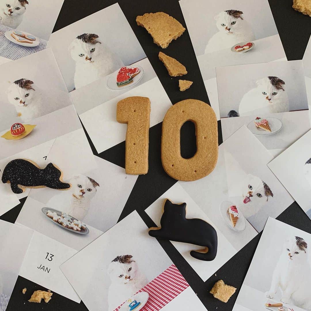 kikkoのインスタグラム：「おかげさまで、cafe luck sweeets shopは、10周年を迎えることができました！ とっても嬉しいです！ ずっと、フォローしてくださってる皆様、心からありがとうございます。  先日、誰よりも私を応援してくれていた母が他界しました。 もっと沢山写真をアップした方が良いやら、アップしたら、字が間違ってますよ。。。笑 レッスンは、どうでしたか？、、、 いつまでも心配ばかりさせてました。 ここ数年、沢山の出来事を私なりに 乗り越えて来ました。  今度は、つぎの夢に向かって進んで行きたいと思ってます！  これからも、どうぞ宜しくお願い致します。 (コムちゃんの日めくりカレンダー少し紹介させていただきました。コンビーフ、気に入ってます。)」