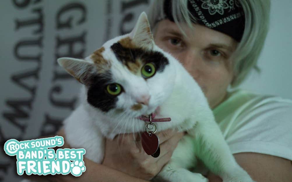 Rock Soundさんのインスタグラム写真 - (Rock SoundInstagram)「Happy #InternationalCatDay to one of our favourite felines - Maxx Danziger's cat Pistol!」8月8日 22時01分 - rocksound