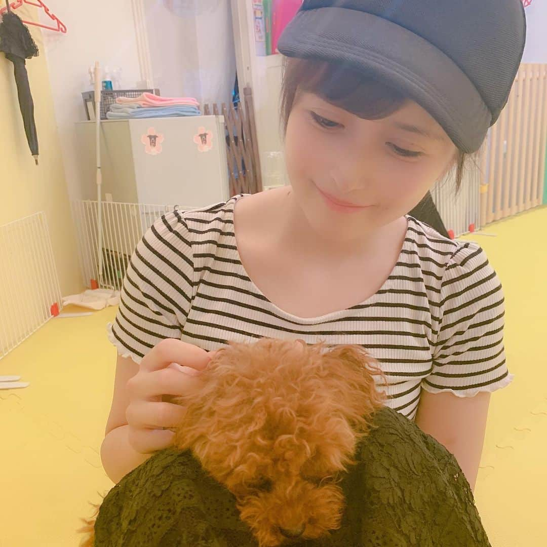 佐倉みきさんのインスタグラム写真 - (佐倉みきInstagram)「犬カフェ(･ω･)ウインクっ😉」8月8日 22時39分 - sakura_miki96