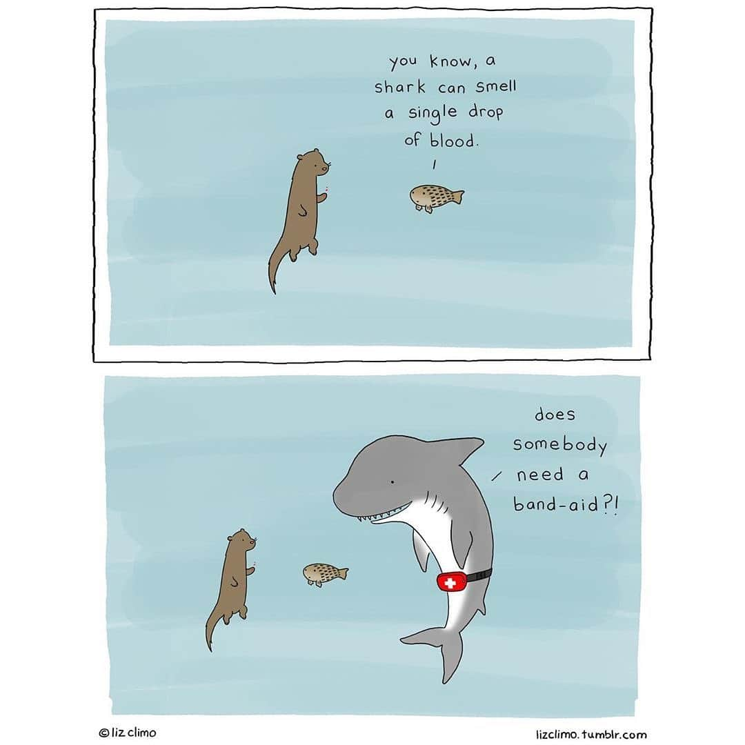 9GAGさんのインスタグラム写真 - (9GAGInstagram)「Some harmless sharks to cheer you up:) | Follow @doodles - By @lizclimo - #doodles #9gag #comics #illustrations」8月8日 14時10分 - 9gag