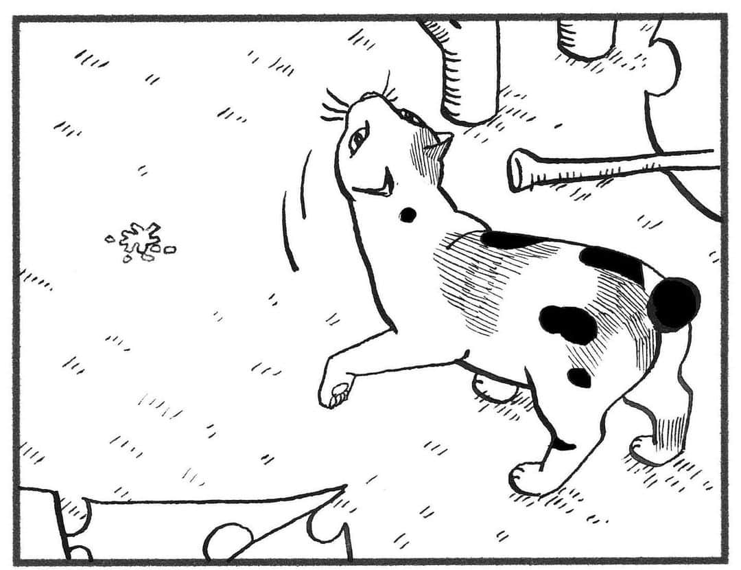 相原コージさんのインスタグラム写真 - (相原コージInstagram)「#世界猫の日 に『こびとねこ』はいかがでしょうか。発売中です。  #こびとねこ #ねこ漫画 #ねこ #こびと #雪 #結晶  #小小猫 #cat #manga #comic #thumbcat #snow」8月8日 14時15分 - kojiaihara
